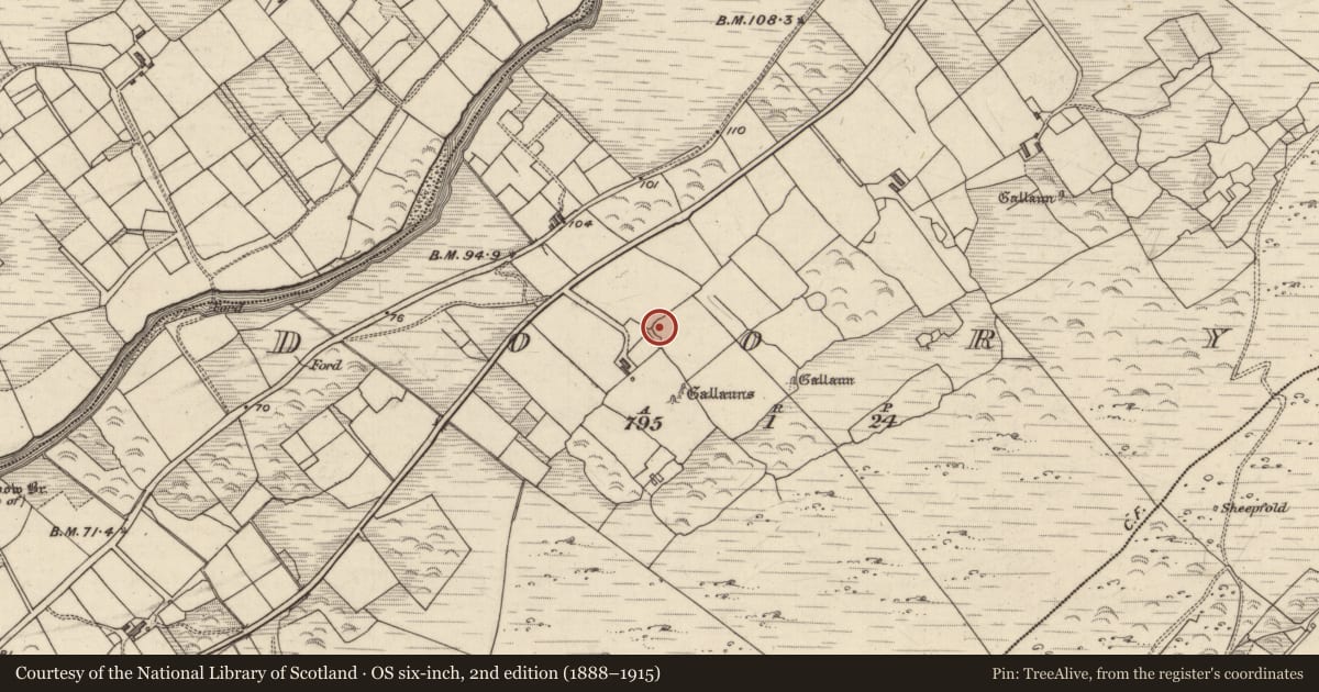 Ordnance Survey six-inch map, 2nd edition (1888–1915) covering the location of Enclosure, Doory, County Kerry, with a pin at the register's coordinates