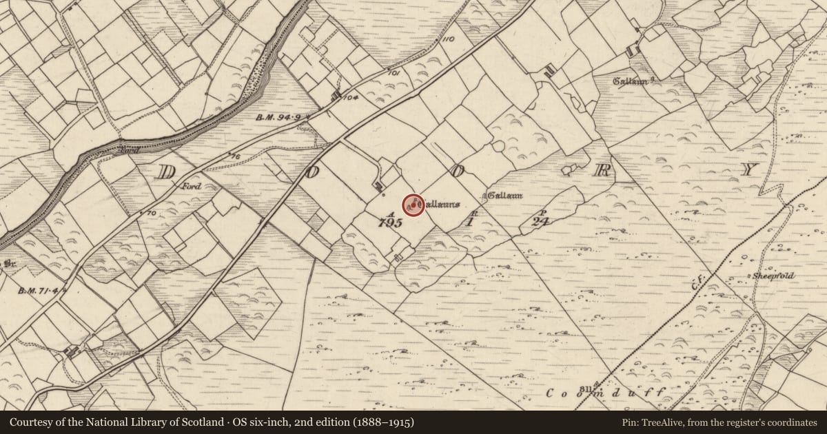Ordnance Survey six-inch map, 2nd edition (1888–1915) covering the location of Stone row, Doory, County Kerry, with a pin at the register's coordinates