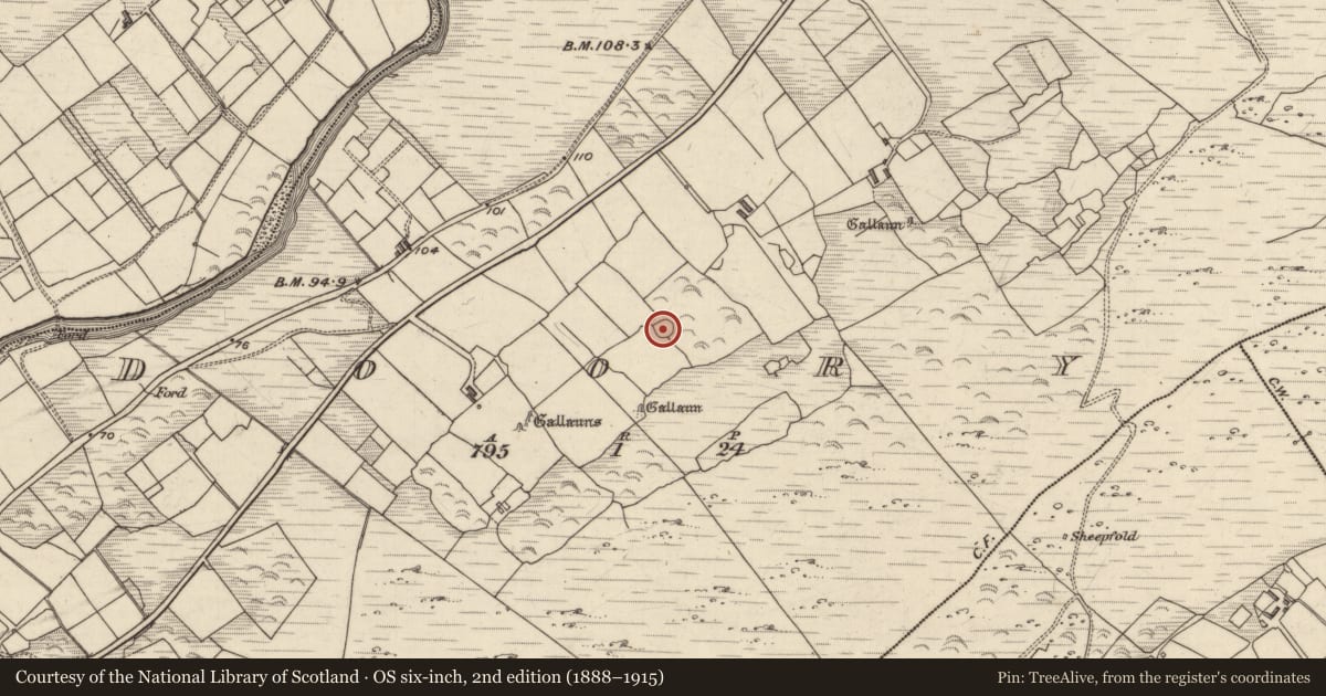 Ordnance Survey six-inch map, 2nd edition (1888–1915) covering the location of Ringfort - rath, Doory, County Kerry, with a pin at the register's coordinates