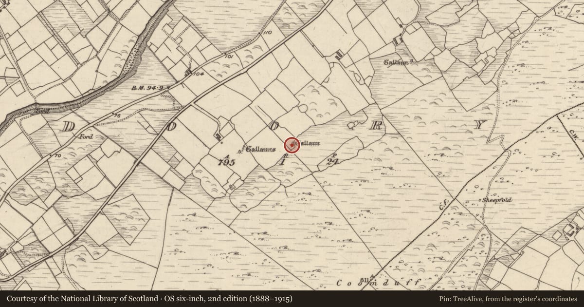 Ordnance Survey six-inch map, 2nd edition (1888–1915) covering the location of Standing stone, Doory, County Kerry, with a pin at the register's coordinates