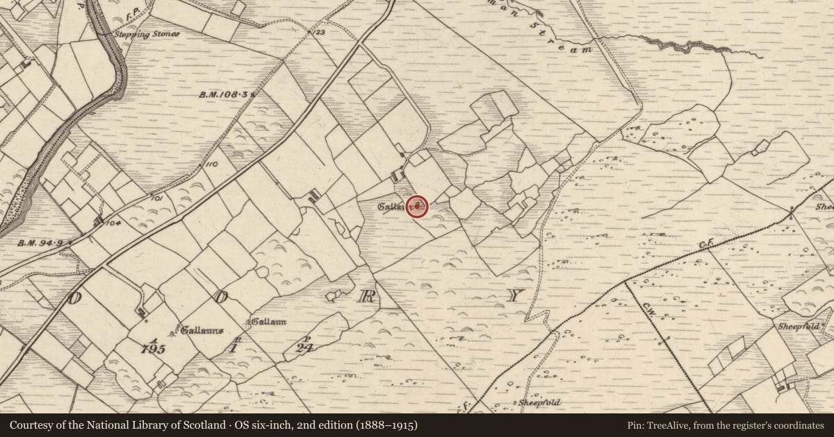 Ordnance Survey six-inch map, 2nd edition (1888–1915) covering the location of Standing stone, Doory, County Kerry, with a pin at the register's coordinates