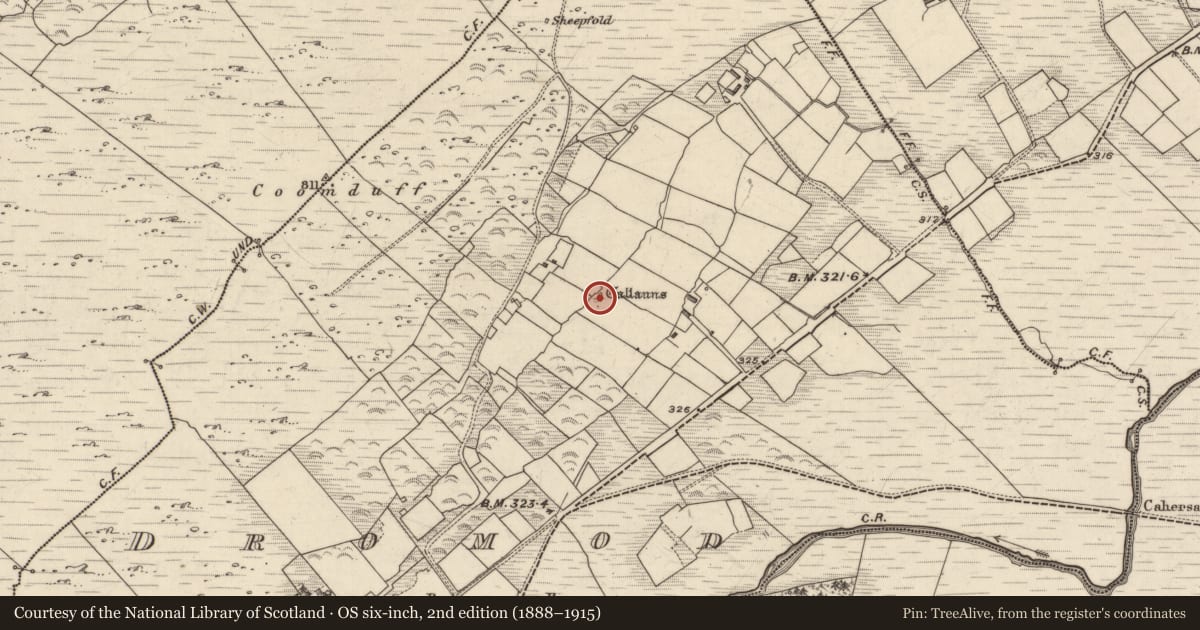 Ordnance Survey six-inch map, 2nd edition (1888–1915) covering the location of Stone row, An Dromaid, County Kerry, with a pin at the register's coordinates
