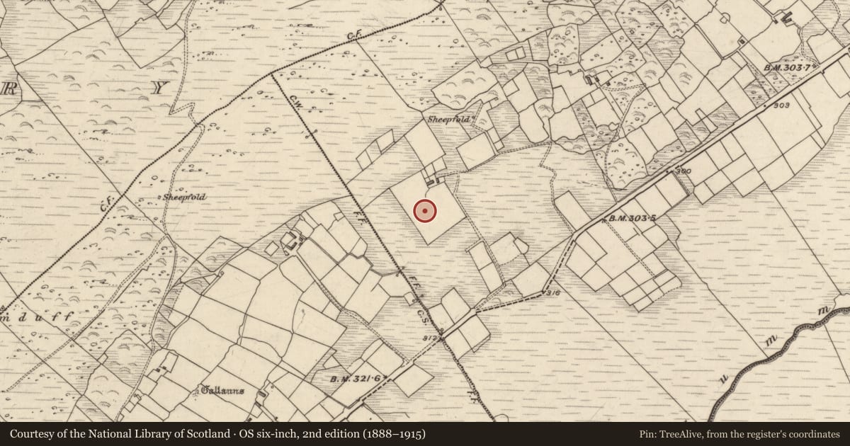 Ordnance Survey six-inch map, 2nd edition (1888–1915) covering the location of Standing stone, Derrineden, County Kerry, with a pin at the register's coordinates