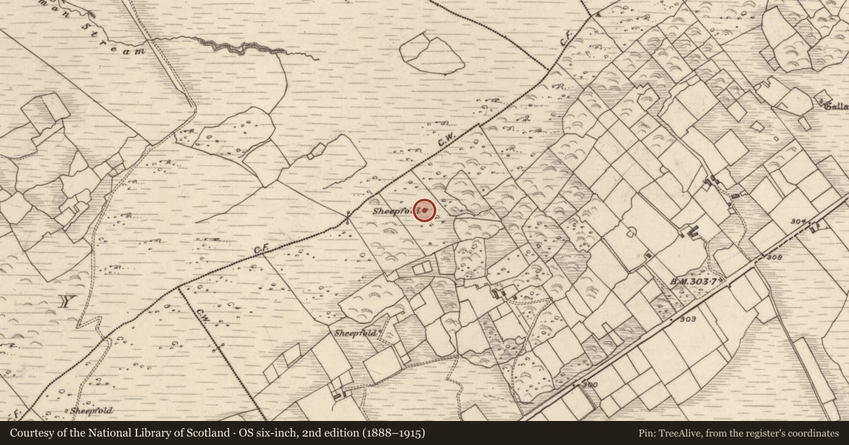 Ordnance Survey six-inch map, 2nd edition (1888–1915) covering the location of Hut site, Derrineden, County Kerry, with a pin at the register's coordinates