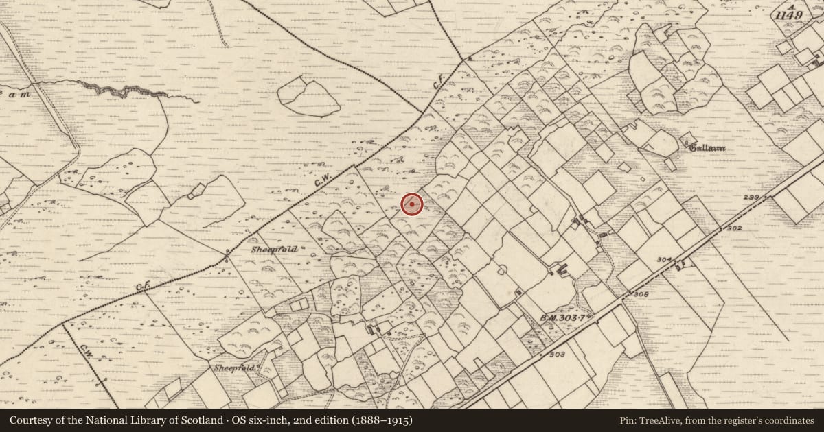 Ordnance Survey six-inch map, 2nd edition (1888–1915) covering the location of Ringfort - cashel, Derrineden, County Kerry, with a pin at the register's coordinates