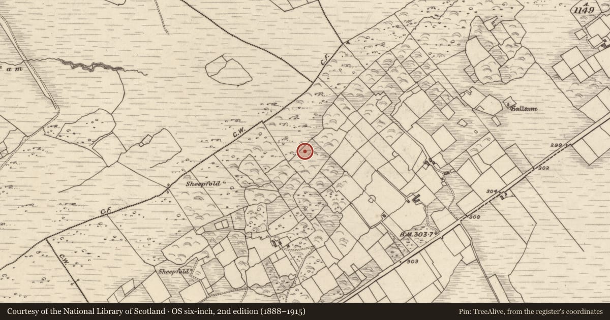 Ordnance Survey six-inch map, 2nd edition (1888–1915) covering the location of Souterrain, Derrineden, County Kerry, with a pin at the register's coordinates
