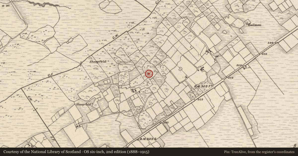 Ordnance Survey six-inch map, 2nd edition (1888–1915) covering the location of Hut site, Derrineden, County Kerry, with a pin at the register's coordinates