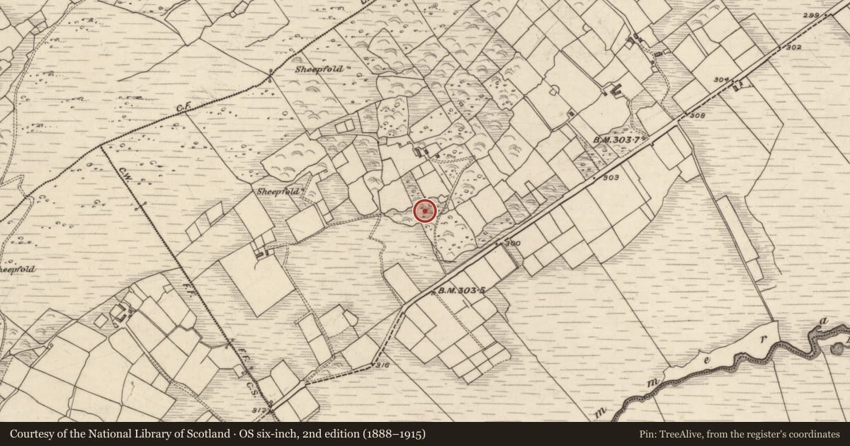 Ordnance Survey six-inch map, 2nd edition (1888–1915) covering the location of Ringfort - cashel, Derrineden, County Kerry, with a pin at the register's coordinates