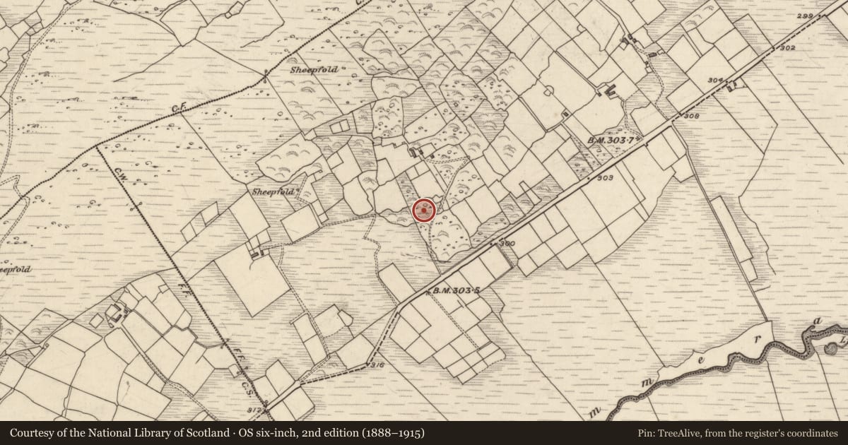 Ordnance Survey six-inch map, 2nd edition (1888–1915) covering the location of Hut site, Derrineden, County Kerry, with a pin at the register's coordinates