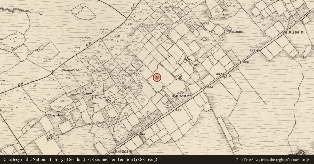 Ordnance Survey six-inch map, 2nd edition (1888–1915) covering the location of Ringfort - cashel, Derrineden, County Kerry, with a pin at the register's coordinates