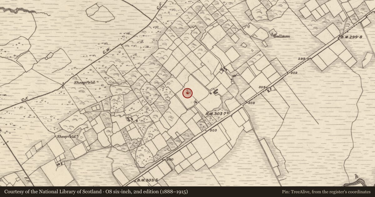Ordnance Survey six-inch map, 2nd edition (1888–1915) covering the location of Hut site, Derrineden, County Kerry, with a pin at the register's coordinates