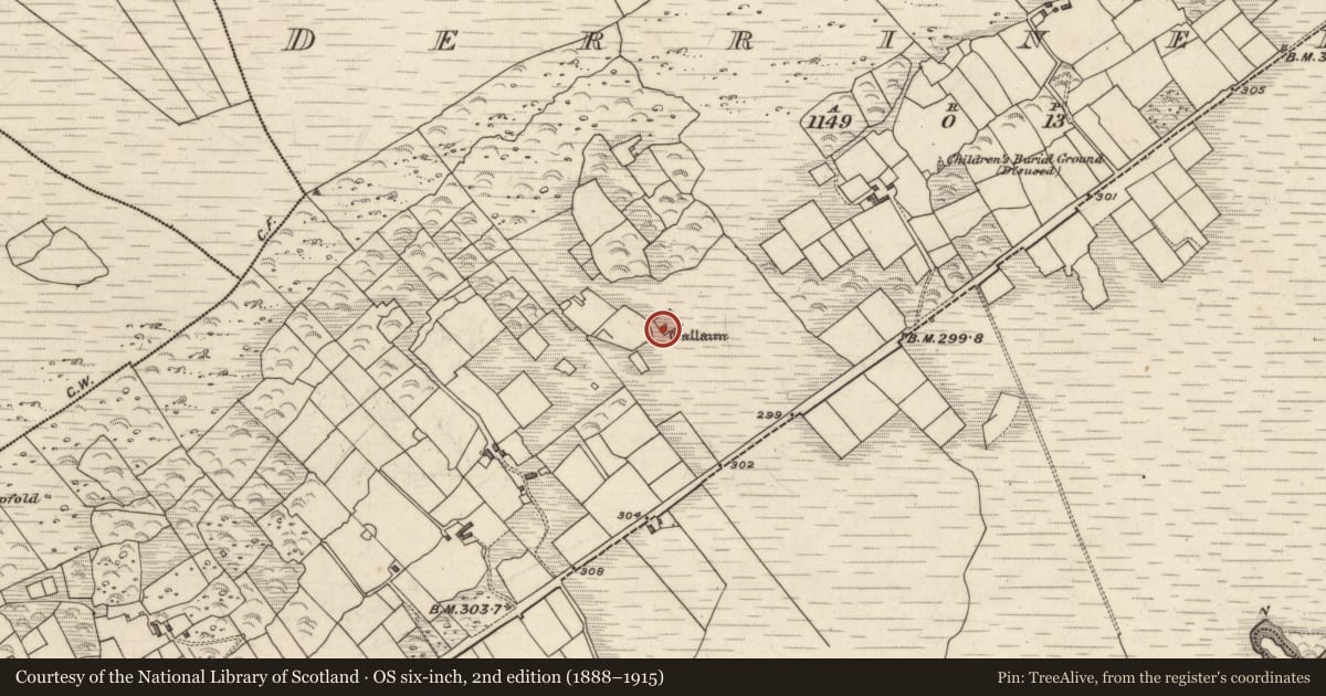 Ordnance Survey six-inch map, 2nd edition (1888–1915) covering the location of Stone row, Derrineden, County Kerry, with a pin at the register's coordinates