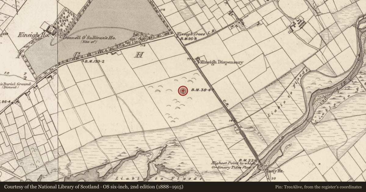 Ordnance Survey six-inch map, 2nd edition (1888–1915) covering the location of Ringfort - rath, Ceann Eich, County Kerry, with a pin at the register's coordinates