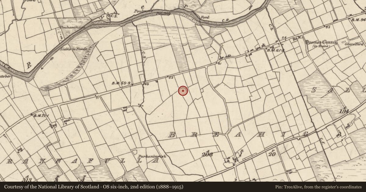 Ordnance Survey six-inch map, 2nd edition (1888–1915) covering the location of Hut site, Breahig, County Kerry, with a pin at the register's coordinates