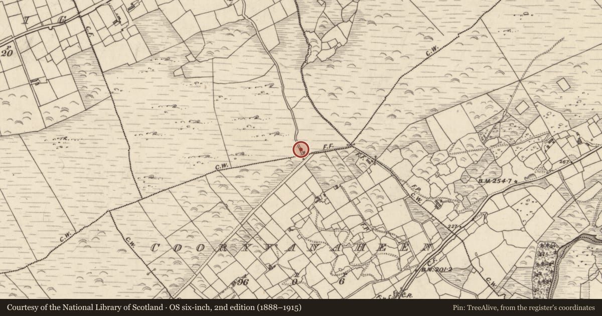 Ordnance Survey six-inch map, 2nd edition (1888–1915) covering the location of Cross-inscribed stone, Sallahig, County Kerry, with a pin at the register's coordinates