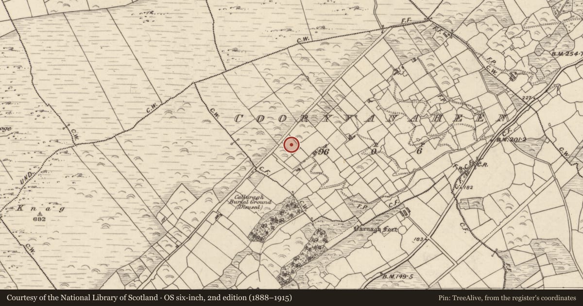 Ordnance Survey six-inch map, 2nd edition (1888–1915) covering the location of Souterrain, Cooryvanaheen, County Kerry, with a pin at the register's coordinates