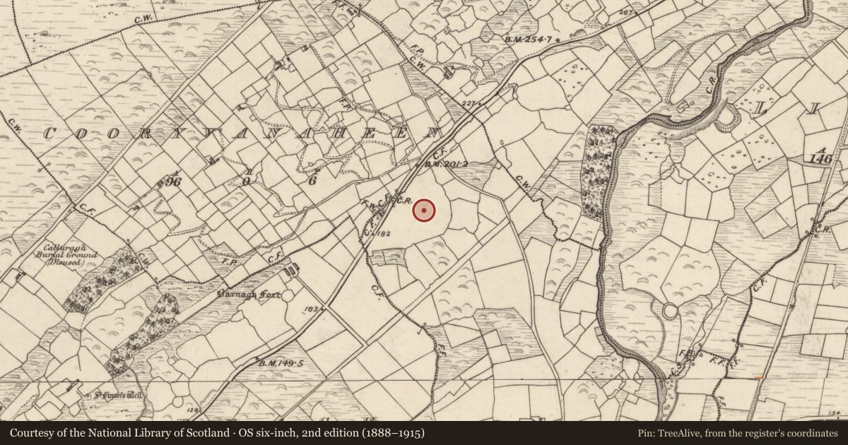 Ordnance Survey six-inch map, 2nd edition (1888–1915) covering the location of Ringfort - rath, Dromkeare, County Kerry, with a pin at the register's coordinates