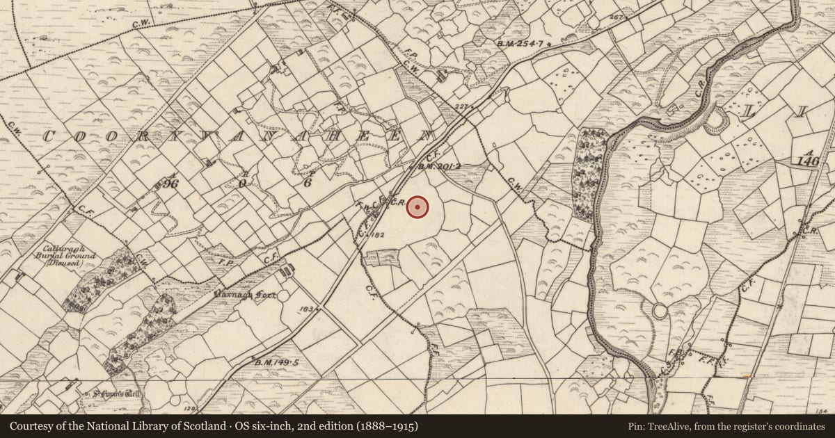 Ordnance Survey six-inch map, 2nd edition (1888–1915) covering the location of Souterrain, Dromkeare, County Kerry, with a pin at the register's coordinates
