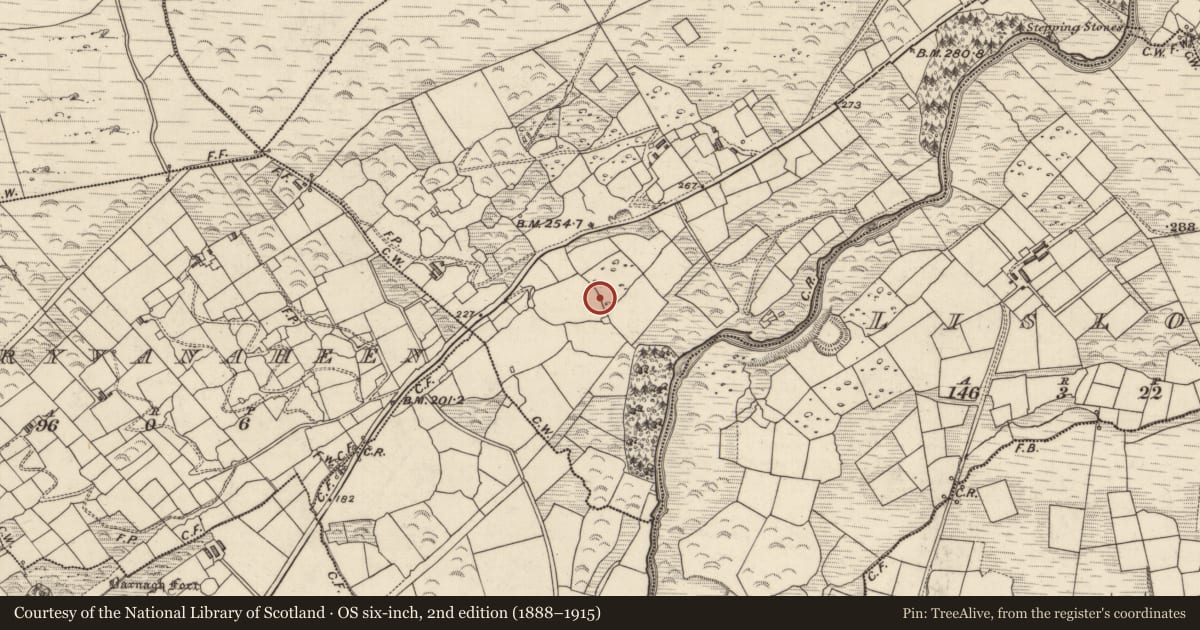 Ordnance Survey six-inch map, 2nd edition (1888–1915) covering the location of Stone circle - multiple-stone, An Dromaid, County Kerry, with a pin at the register's coordinates