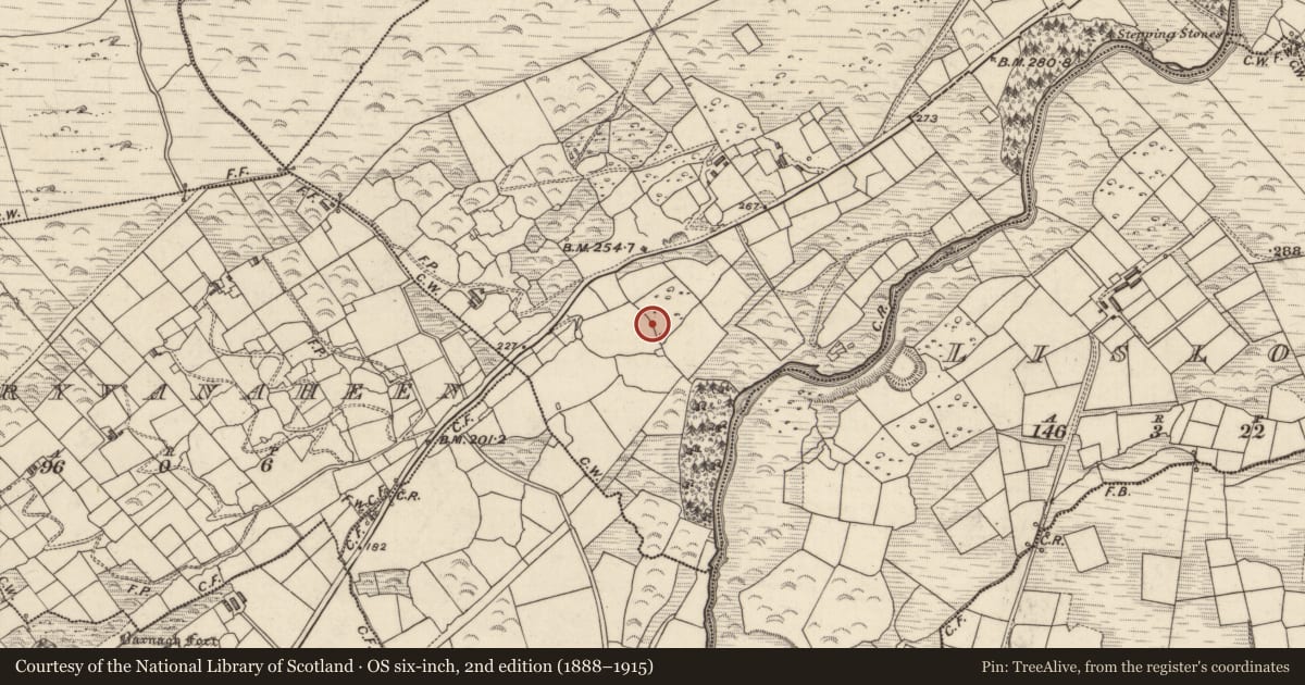 Ordnance Survey six-inch map, 2nd edition (1888–1915) covering the location of Standing stone, An Dromaid, County Kerry, with a pin at the register's coordinates
