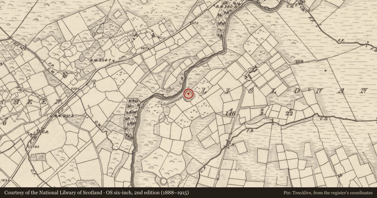 Ordnance Survey six-inch map, 2nd edition (1888–1915) covering the location of Ringfort - rath, Lislonane, County Kerry, with a pin at the register's coordinates