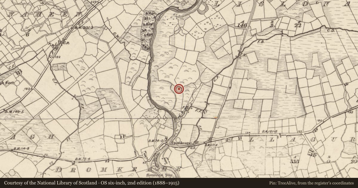 Ordnance Survey six-inch map, 2nd edition (1888–1915) covering the location of Ringfort - cashel, Lislonane, County Kerry, with a pin at the register's coordinates