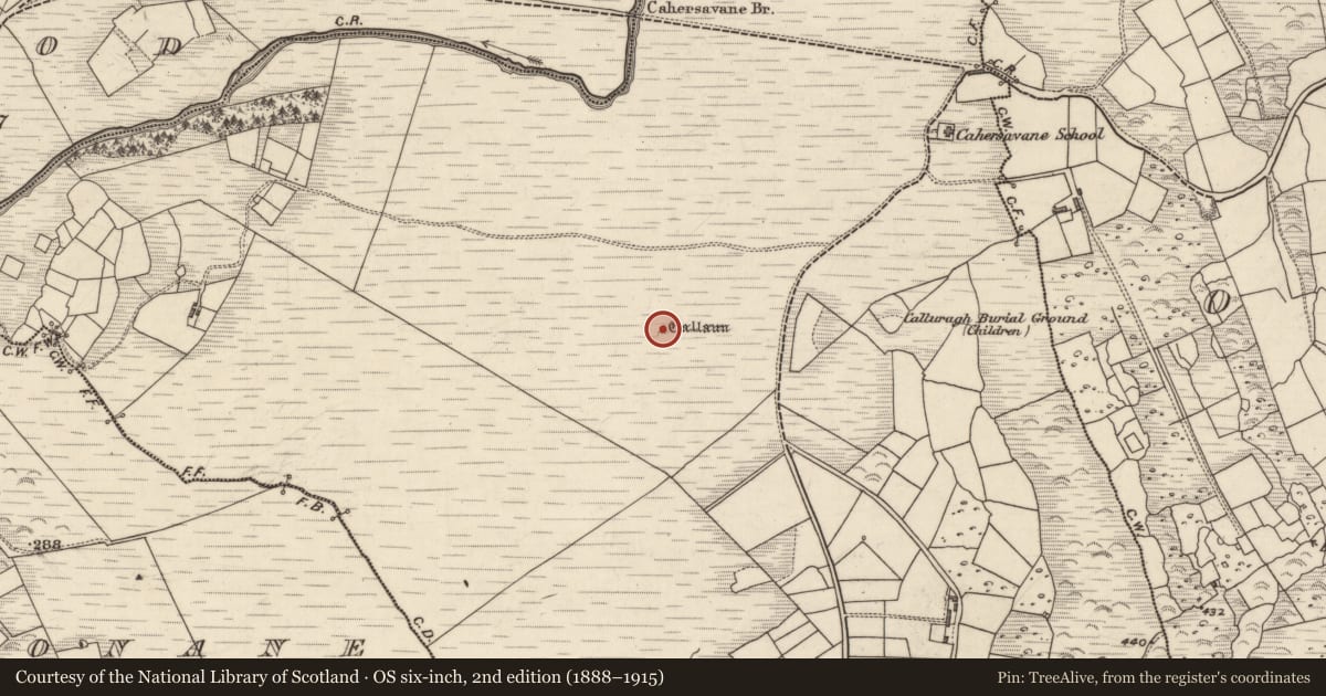 Ordnance Survey six-inch map, 2nd edition (1888–1915) covering the location of Standing stone, Cathair Samháin, County Kerry, with a pin at the register's coordinates