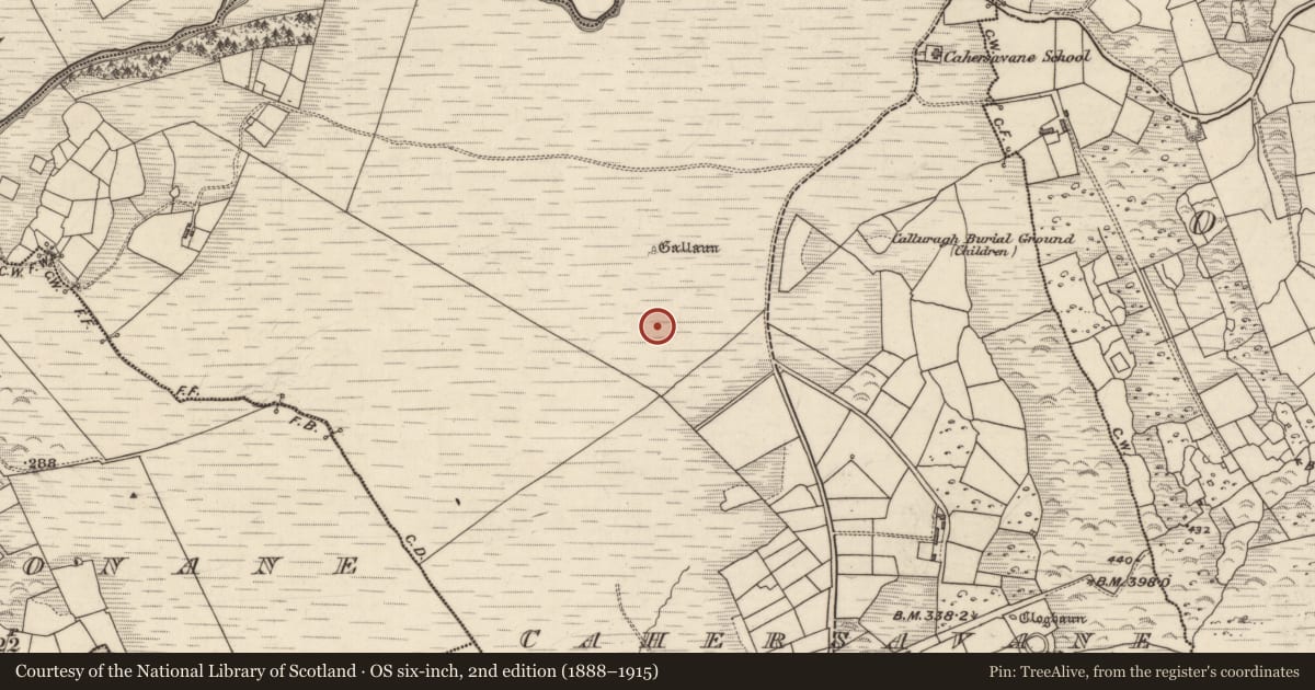 Ordnance Survey six-inch map, 2nd edition (1888–1915) covering the location of Standing stone, Cathair Samháin, County Kerry, with a pin at the register's coordinates