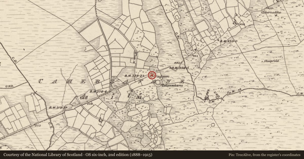 Ordnance Survey six-inch map, 2nd edition (1888–1915) covering the location of Hut site, Cathair Samháin, County Kerry, with a pin at the register's coordinates
