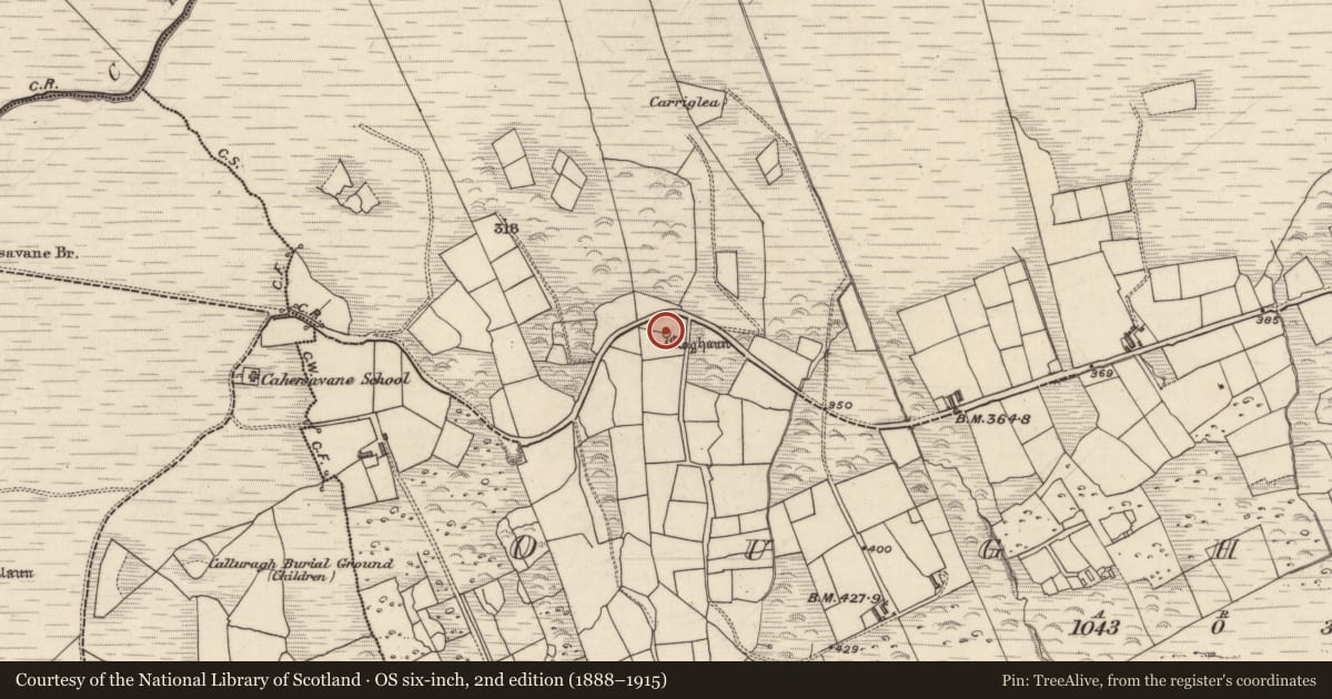 Ordnance Survey six-inch map, 2nd edition (1888–1915) covering the location of Hut site, Ochtaibh, County Kerry, with a pin at the register's coordinates