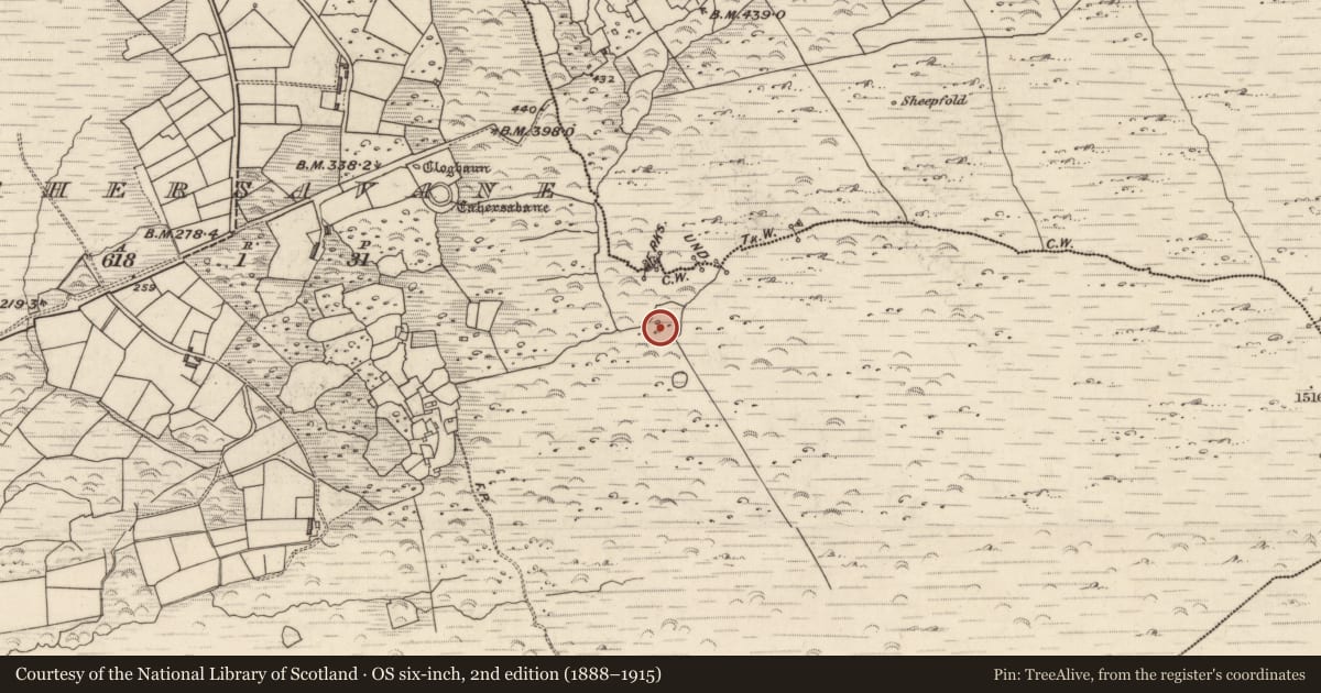 Ordnance Survey six-inch map, 2nd edition (1888–1915) covering the location of Hut site, Cathair Samháin, County Kerry, with a pin at the register's coordinates