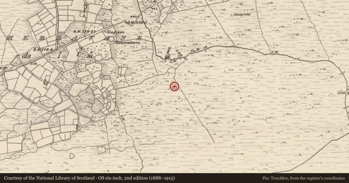 Ordnance Survey six-inch map, 2nd edition (1888–1915) covering the location of Ringfort - cashel, Cathair Samháin, County Kerry, with a pin at the register's coordinates