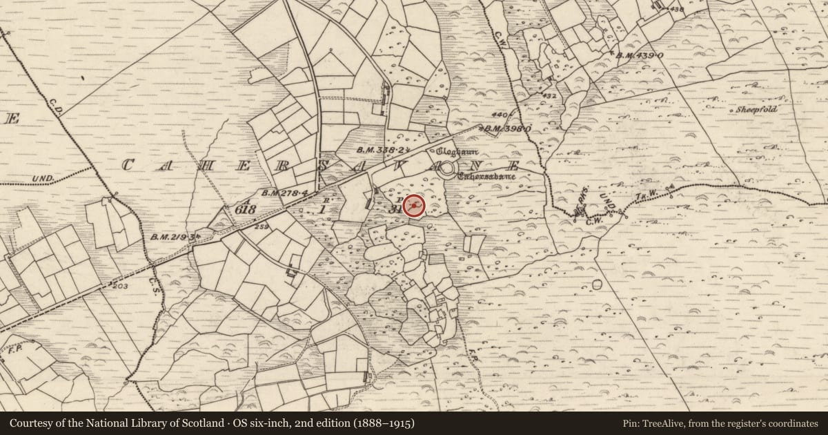 Ordnance Survey six-inch map, 2nd edition (1888–1915) covering the location of Hut site, Cathair Samháin, County Kerry, with a pin at the register's coordinates