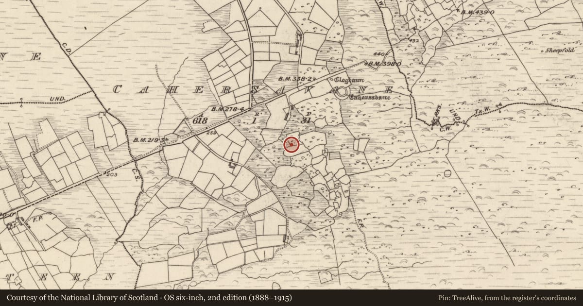 Ordnance Survey six-inch map, 2nd edition (1888–1915) covering the location of Hut site, Cathair Samháin, County Kerry, with a pin at the register's coordinates