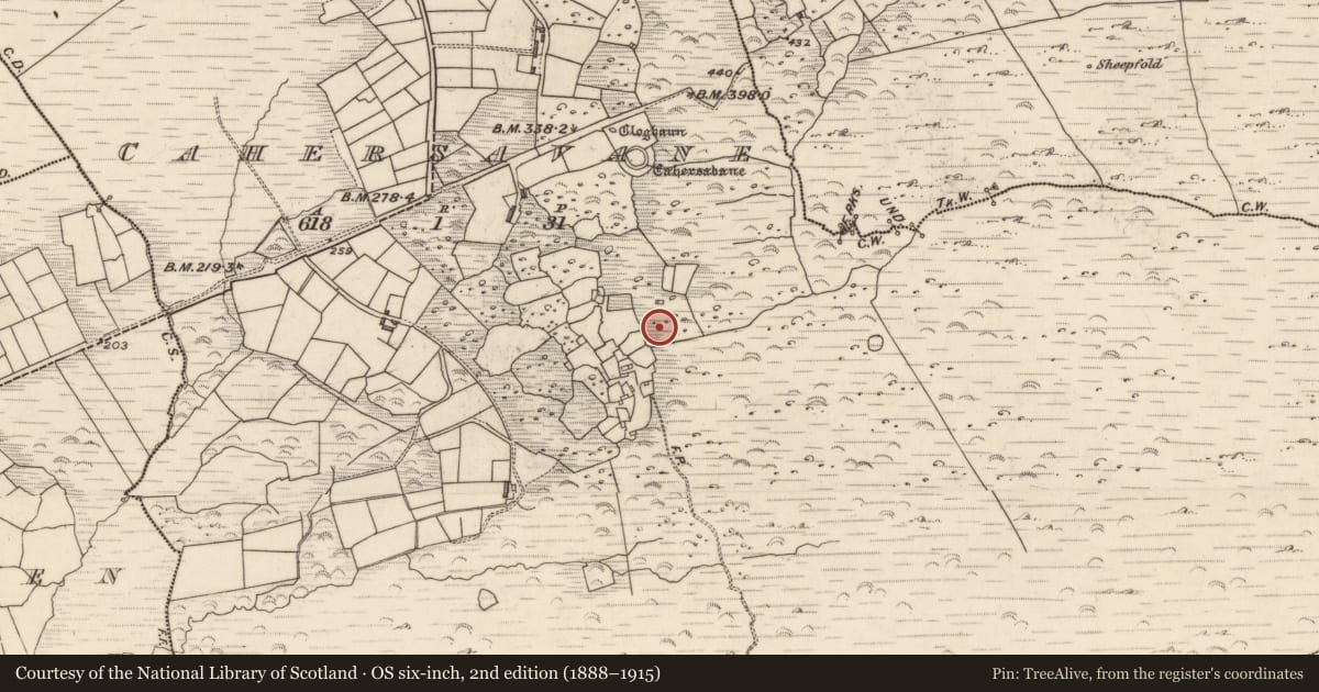 Ordnance Survey six-inch map, 2nd edition (1888–1915) covering the location of Hut site, Cathair Samháin, County Kerry, with a pin at the register's coordinates