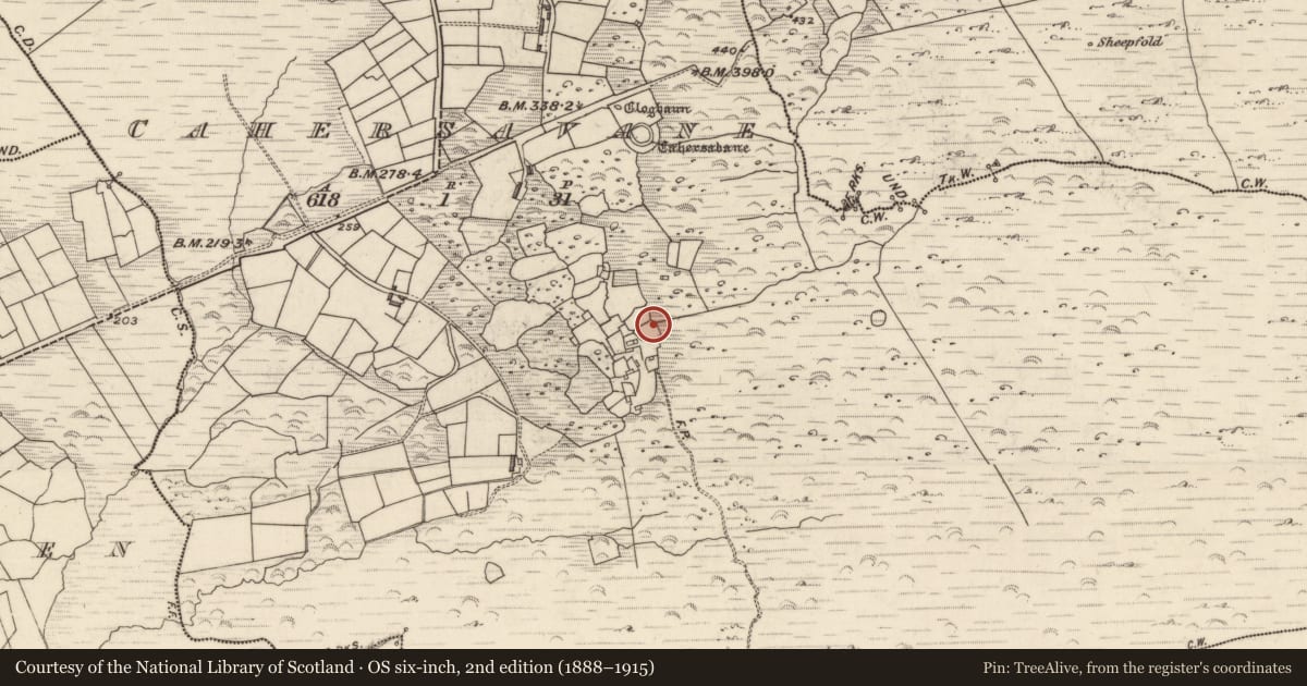 Ordnance Survey six-inch map, 2nd edition (1888–1915) covering the location of Hut site, Cathair Samháin, County Kerry, with a pin at the register's coordinates