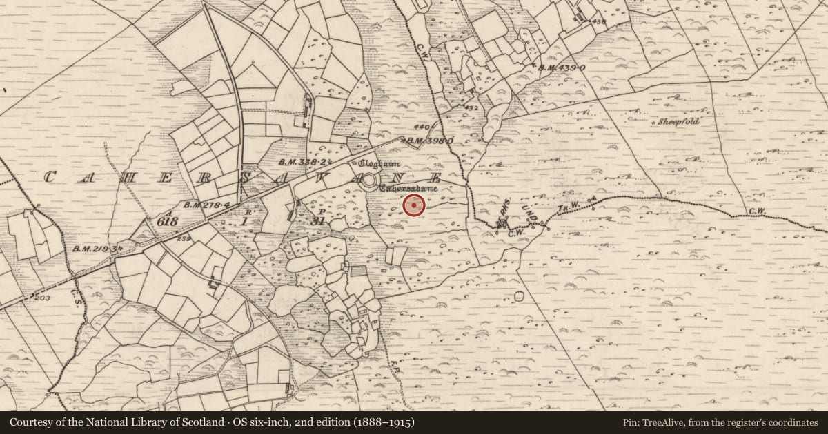 Ordnance Survey six-inch map, 2nd edition (1888–1915) covering the location of Hut site, Cathair Samháin, County Kerry, with a pin at the register's coordinates