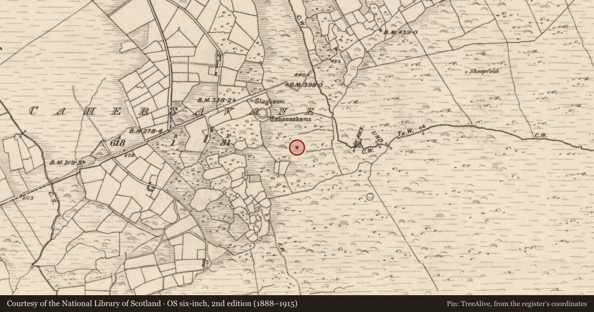 Ordnance Survey six-inch map, 2nd edition (1888–1915) covering the location of Fulacht fia, Cathair Samháin, County Kerry, with a pin at the register's coordinates