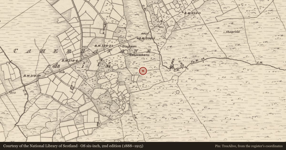 Ordnance Survey six-inch map, 2nd edition (1888–1915) covering the location of Hut site, Cathair Samháin, County Kerry, with a pin at the register's coordinates