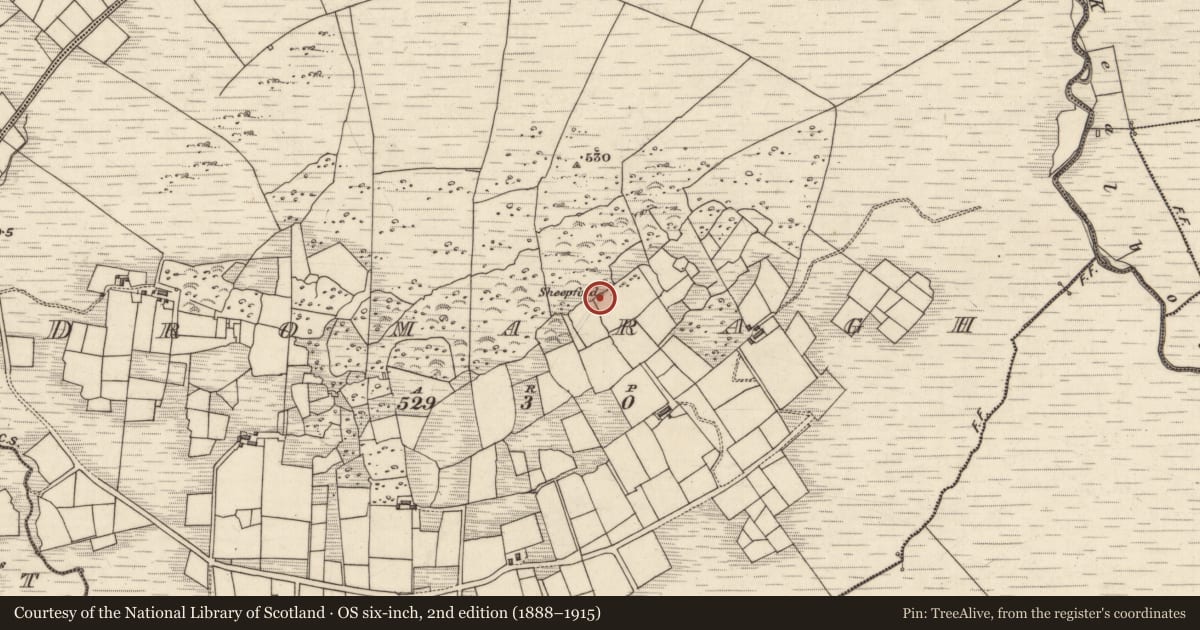 Ordnance Survey six-inch map, 2nd edition (1888–1915) covering the location of Hut site, Drom Aireach, County Kerry, with a pin at the register's coordinates