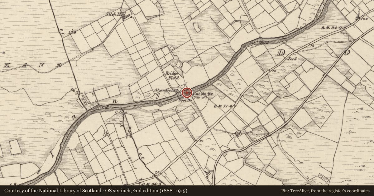Ordnance Survey six-inch map, 2nd edition (1888–1915) covering the location of Bridge, An Inse Bhuí, Doory, County Kerry, with a pin at the register's coordinates
