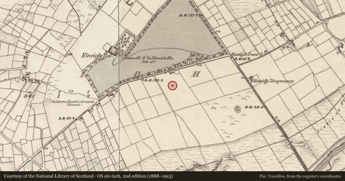 Ordnance Survey six-inch map, 2nd edition (1888–1915) covering the location of Enclosure, Ceann Eich, County Kerry, with a pin at the register's coordinates