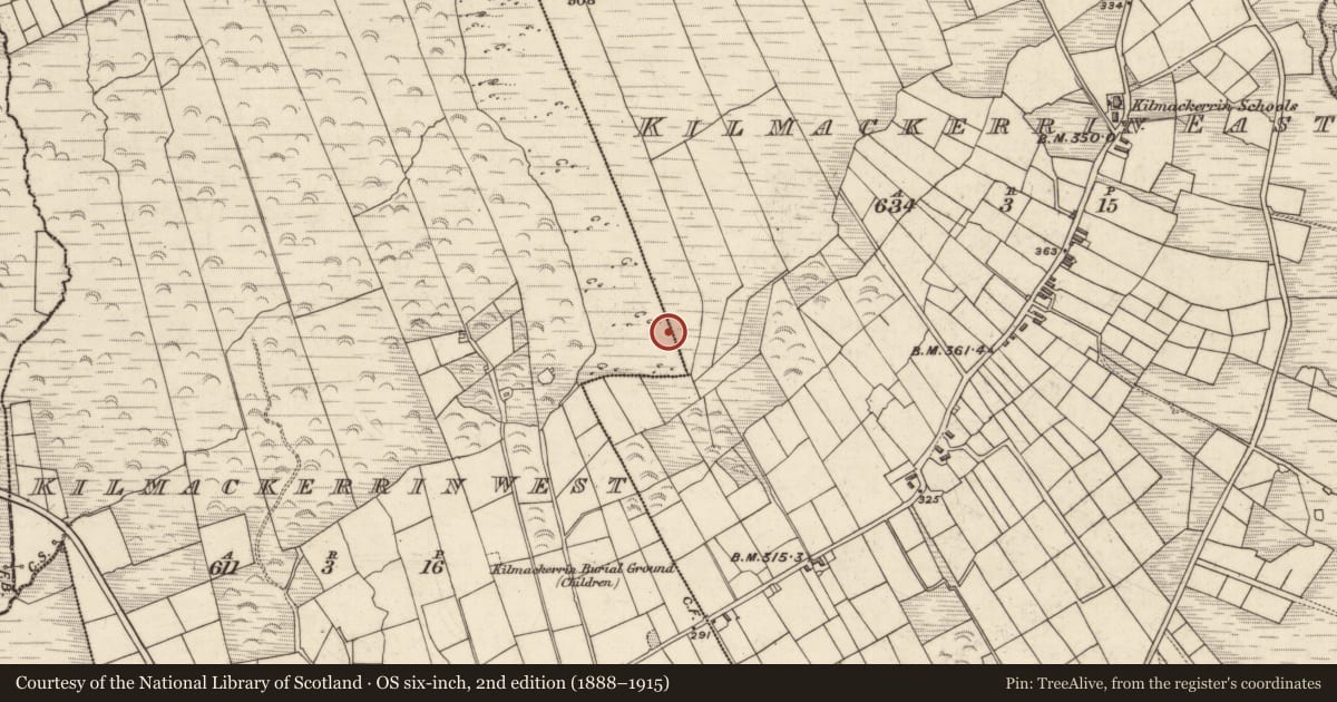 Ordnance Survey six-inch map, 2nd edition (1888–1915) covering the location of Megalithic tomb - wedge tomb, Cill Mhic Iarainn Thiar, County Kerry, with a pin at the register's coordinates