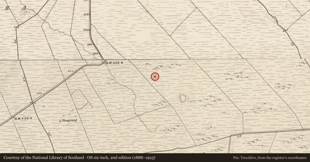 Ordnance Survey six-inch map, 2nd edition (1888–1915) covering the location of Enclosure, Derreen, County Kerry, with a pin at the register's coordinates