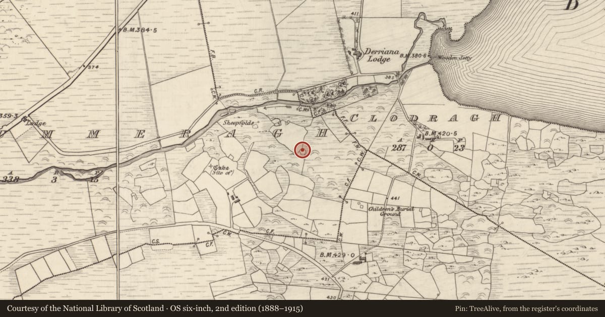 Ordnance Survey six-inch map, 2nd edition (1888–1915) covering the location of Cultivation ridges, Cois Chomarach, County Kerry, with a pin at the register's coordinates