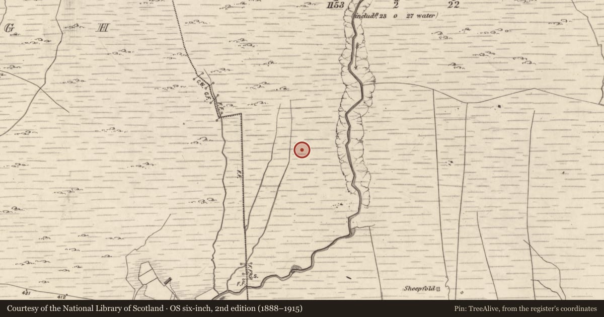 Ordnance Survey six-inch map, 2nd edition (1888–1915) covering the location of Hut site, Derrynagree, County Kerry, with a pin at the register's coordinates