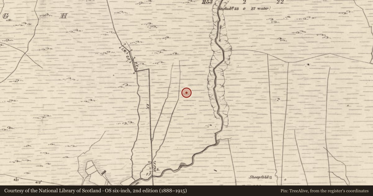 Ordnance Survey six-inch map, 2nd edition (1888–1915) covering the location of Hut site, Derrynagree, County Kerry, with a pin at the register's coordinates