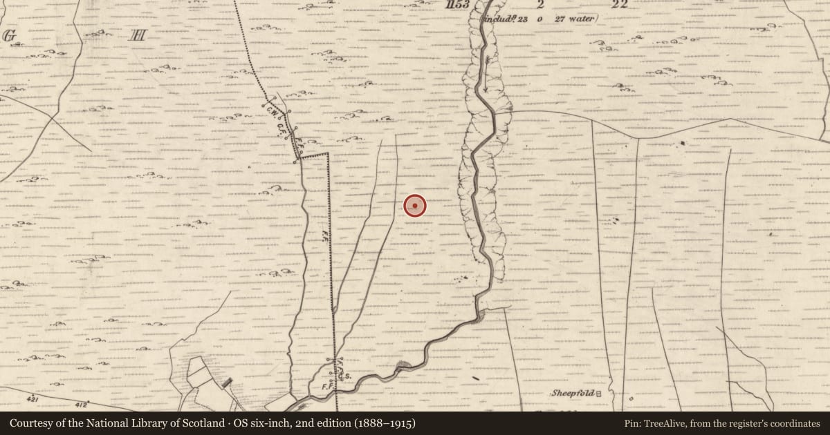 Ordnance Survey six-inch map, 2nd edition (1888–1915) covering the location of Hut site, Derrynagree, County Kerry, with a pin at the register's coordinates