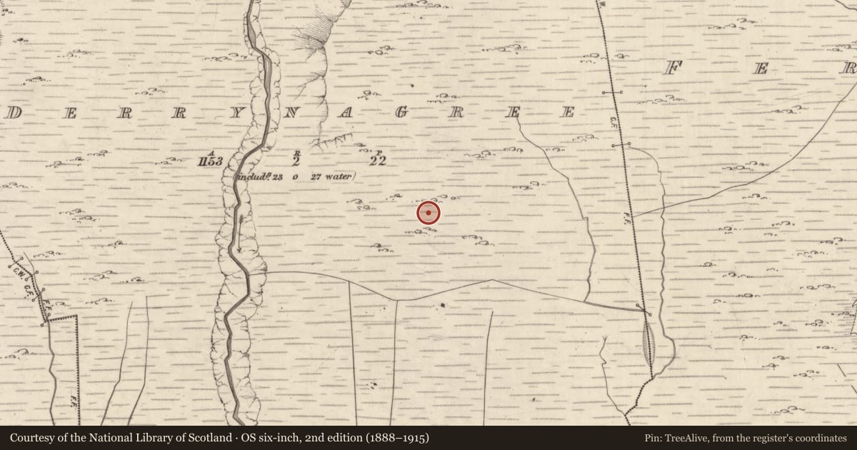Ordnance Survey six-inch map, 2nd edition (1888–1915) covering the location of Field system, Derrynagree, County Kerry, with a pin at the register's coordinates