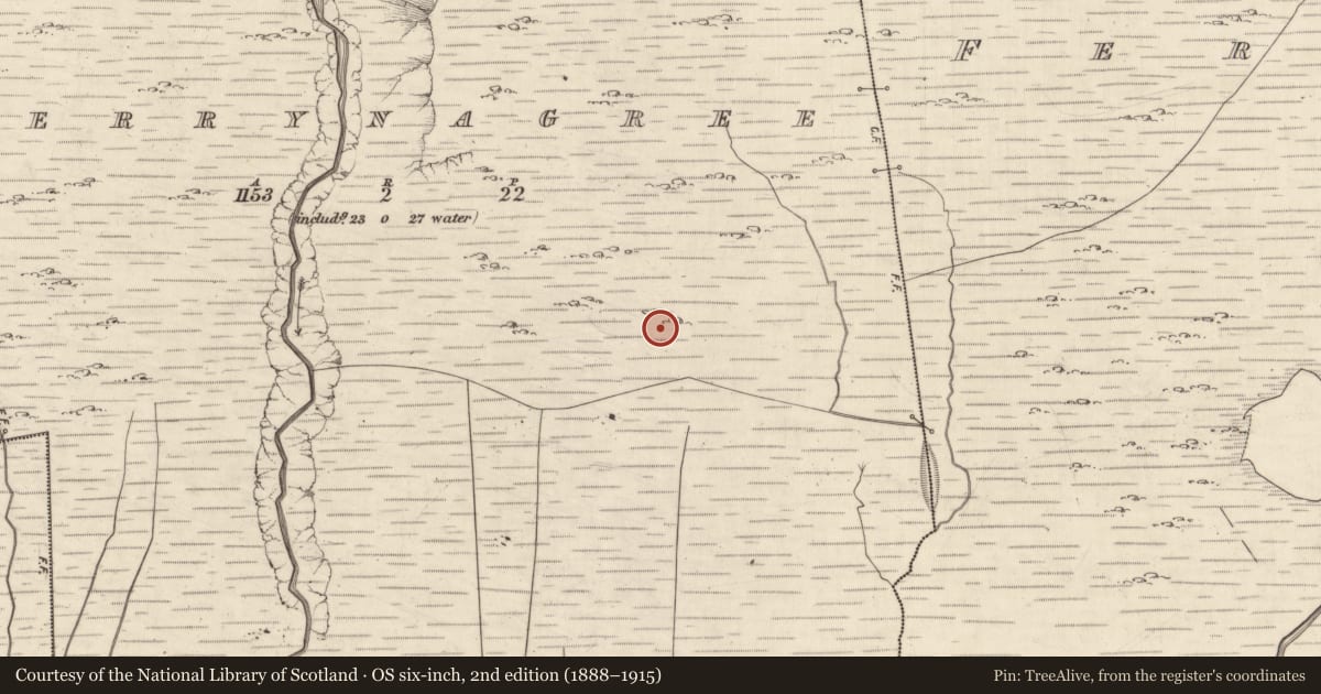 Ordnance Survey six-inch map, 2nd edition (1888–1915) covering the location of Enclosure, Derrynagree, County Kerry, with a pin at the register's coordinates